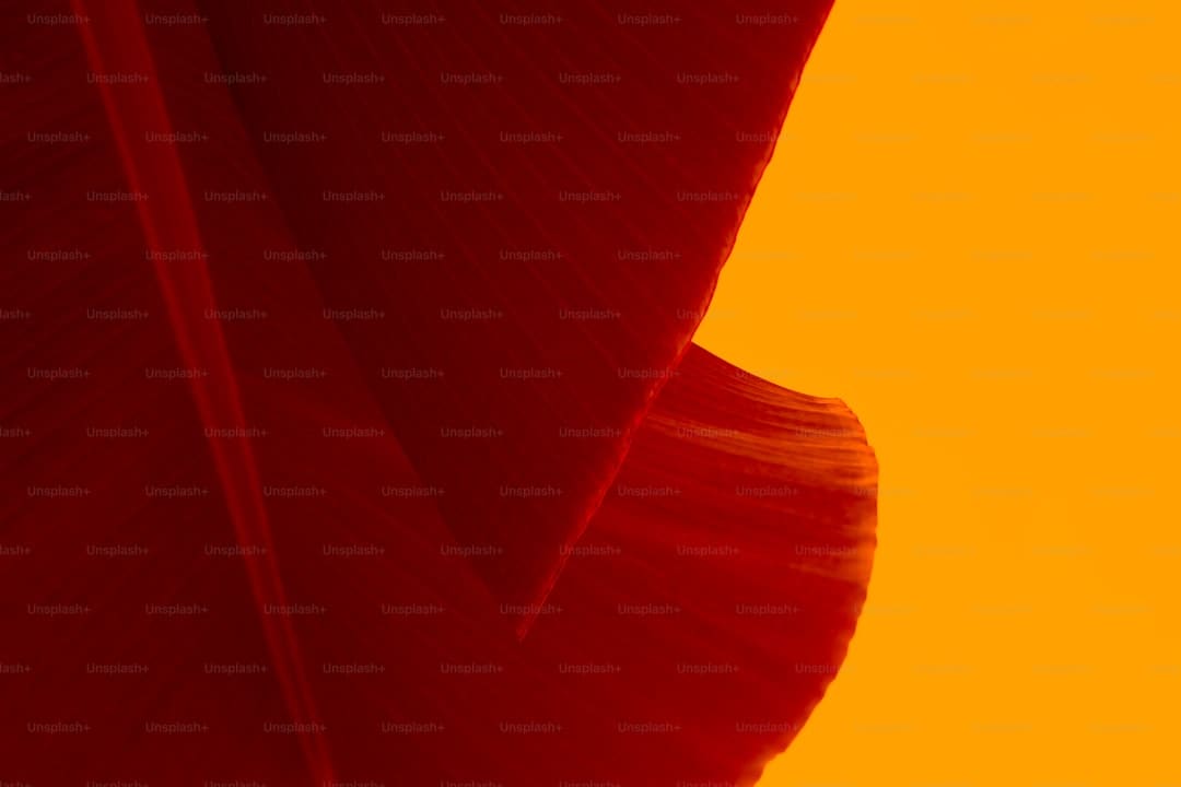 http://n.sinaimg.cn/news/transform/w600h400/20180310/HTm5-fxpwyhw5573055.jpg?zdy